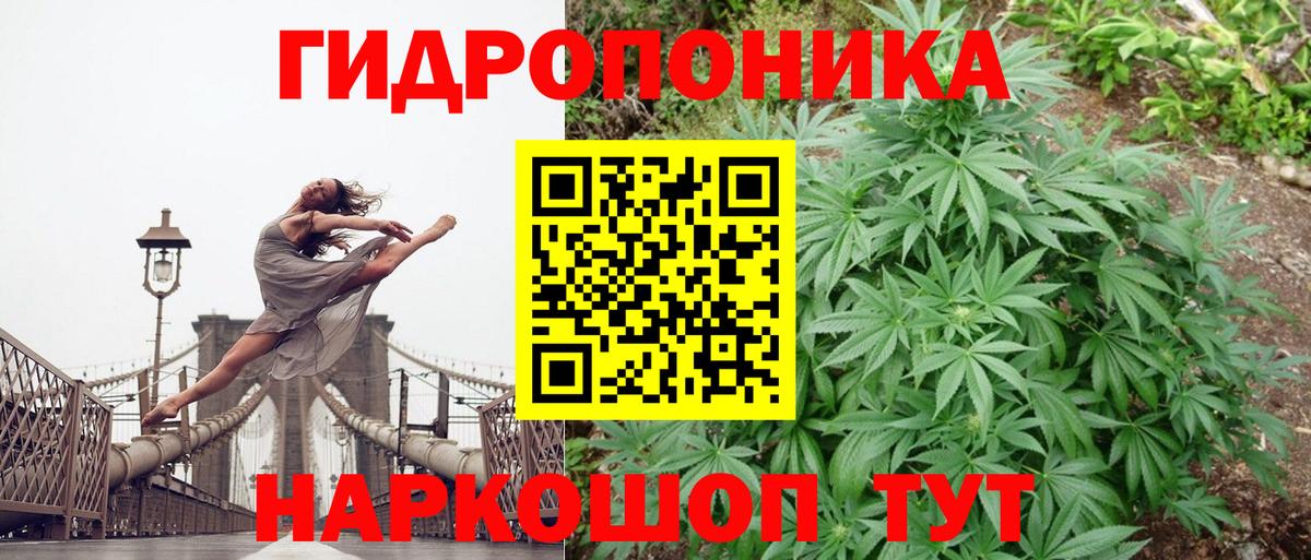 Бошки Шишки тримм  Каннабис семена  Марихуана конопля  Вход с VPN  Унеча  Каннабис Ganja 
